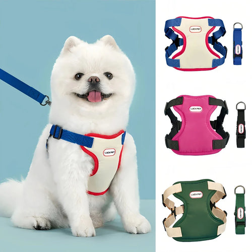 Breathable Vest Harness & Leash Set for Small Dogs