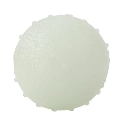 Reflective Bouncing Ball Dog Toy