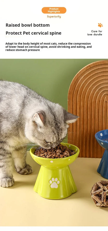 Elevated Ceramic Cat Bowl - Anti-Black Chin Design with Cervical Spine Protection