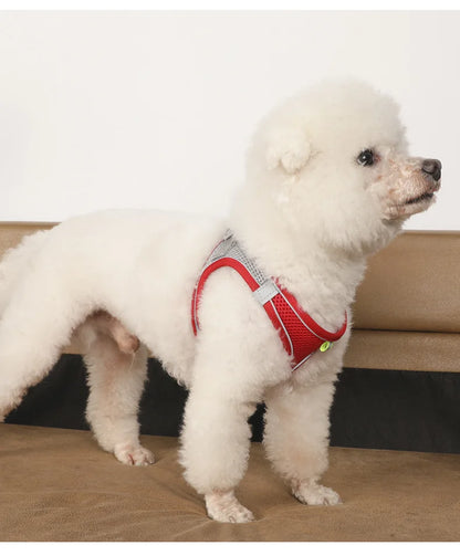 Small Dog Harness and Leash Set