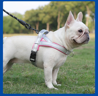 Saddle-Style Padded Dog Harness Vest