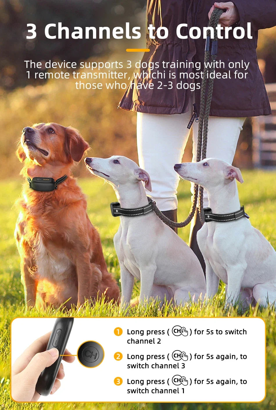 Remote Dog Training Collar — 3300ft Range, Waterproof with Vibration & Bark Control