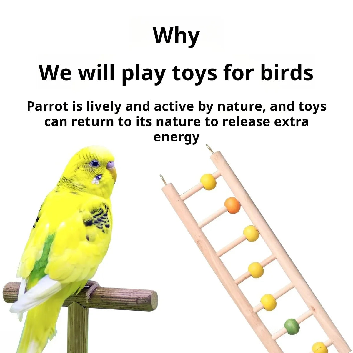 Solid Wood Cloud Climbing Ladder for Parrots & Birds