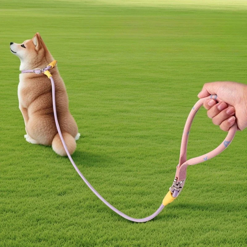 Nylon P-Chain Slip Lead & Collar for Small Dogs
