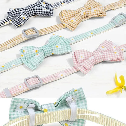 Breakaway Cat Collar with AirTag Holder & Bell