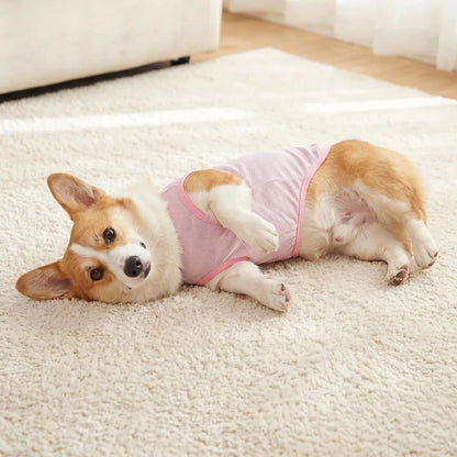 Breathable Mesh Cooling Vest with D-Ring for Small Dogs