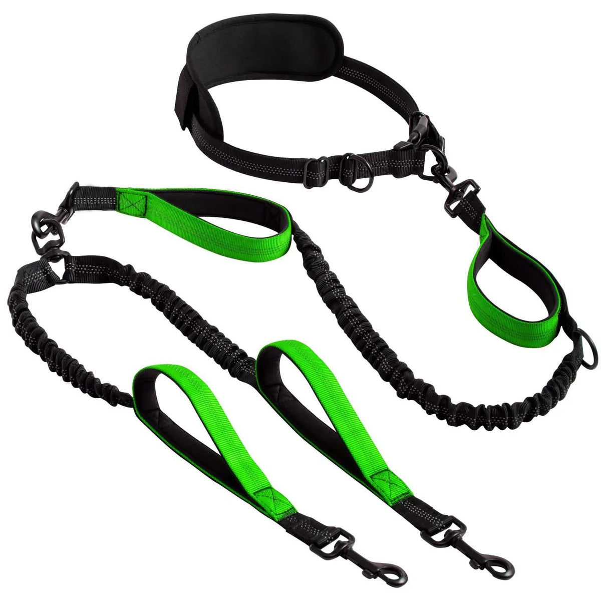 Double Dog Leash with Elastic Shock Absorber