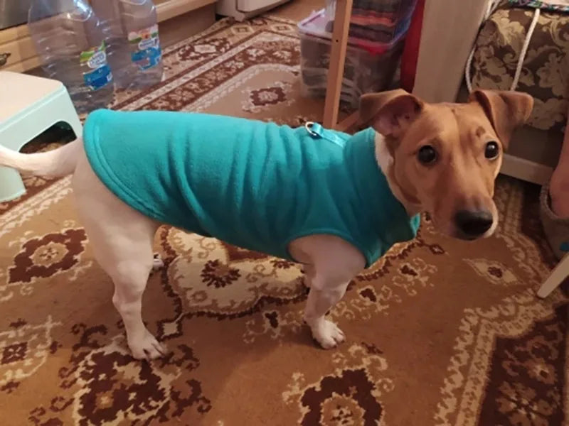 Fleece Vest Jacket for Small Dogs & Cats | Warm Winter Coat for Chihuahuas & French Bulldogs