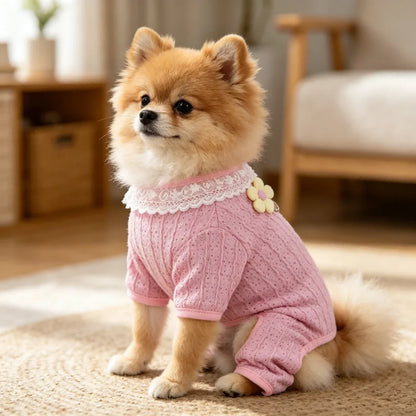 Lace Jumpsuit with D-Ring for Small Dogs & Cats