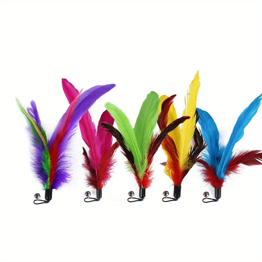 Retractable Cat Wand 11-Pack Set with Bells