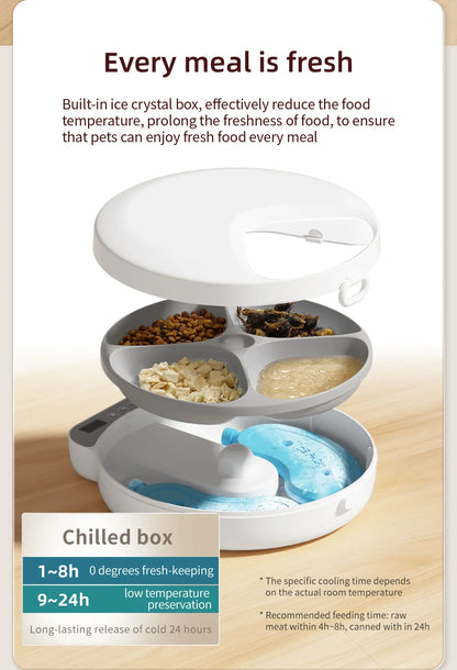 Automatic 4-Meal Pet Feeder with Freshness Control - Slow Feeding Bowl