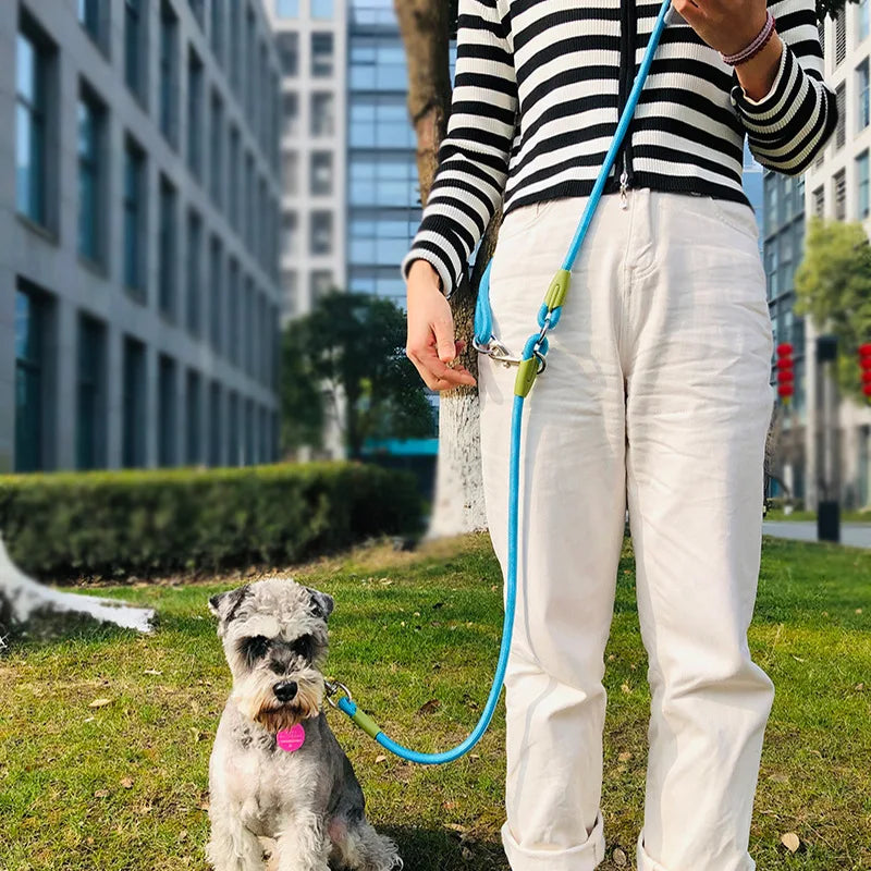 Reflective Nylon Dog Leash