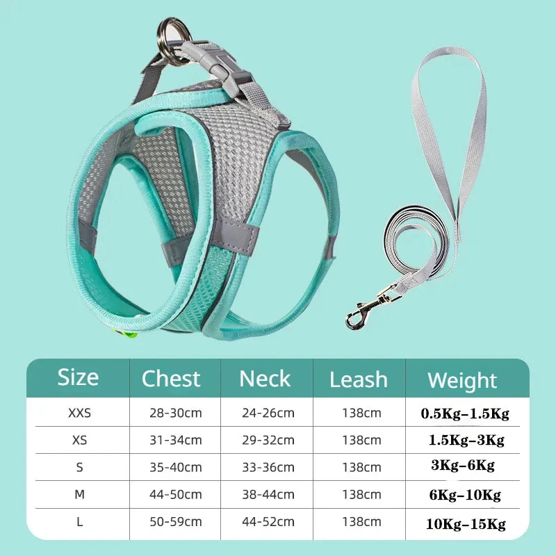 Small Dog Harness and Leash Set