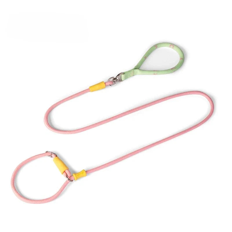 Nylon P-Chain Slip Lead & Collar for Small Dogs
