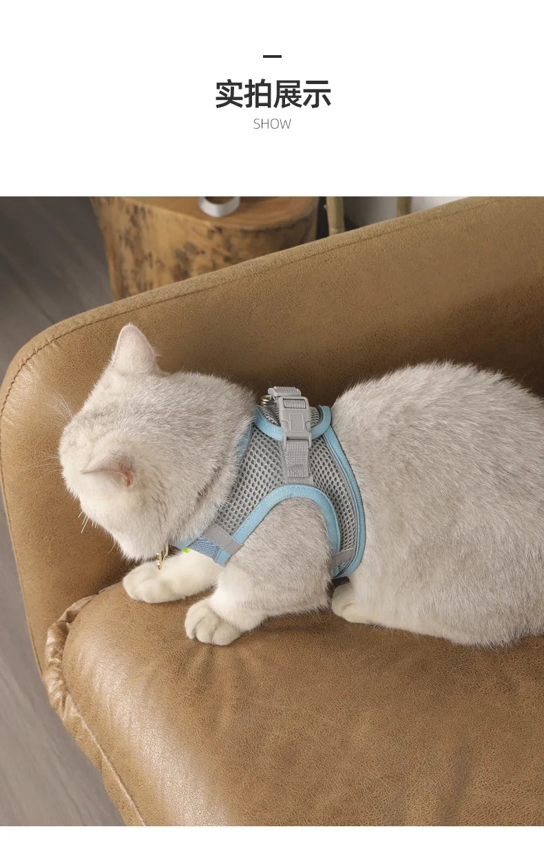Small Dog Harness and Leash Set