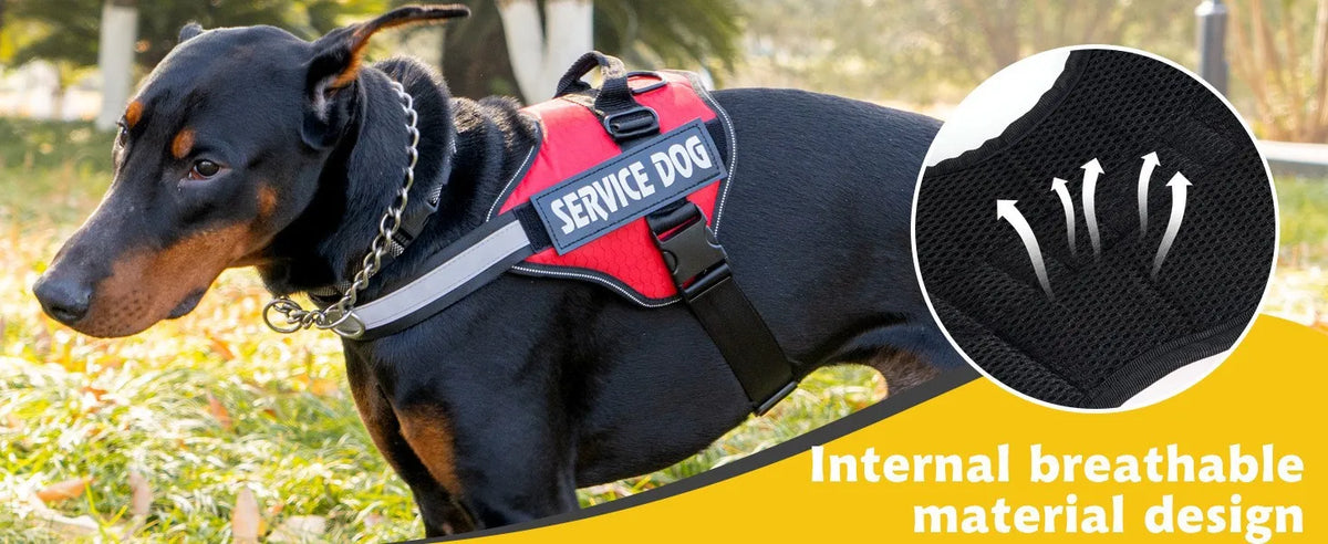 Reflective Adjustable Dog Chest Harness & Walking Lead for Large Dogs