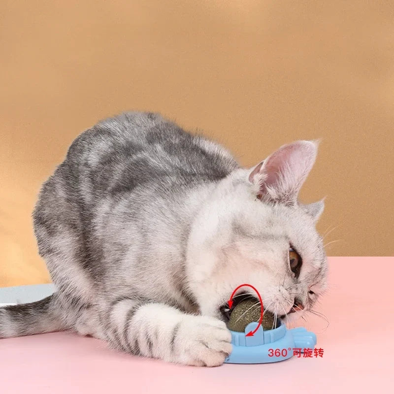 Catnip Wall Ball - Natural Edible Cat Mint Toy for Hairball Relief