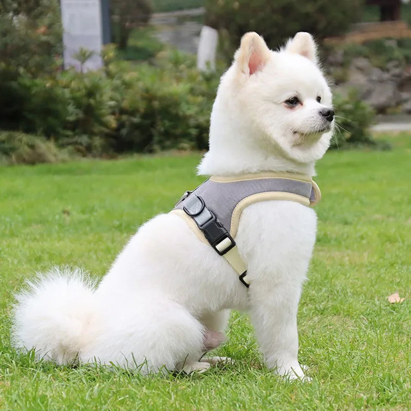 Reflective Dog Harness & Leash Set - Nylon Vest Harness for All Sizes