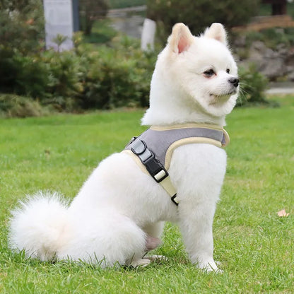 Reflective Dog Harness & Leash Set - Nylon Vest Harness for All Sizes