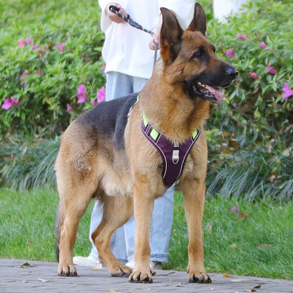 3M Reflective Padded Dog Harness Vest