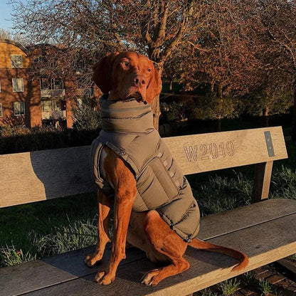 Windproof Winter Down Vest for Small Dogs