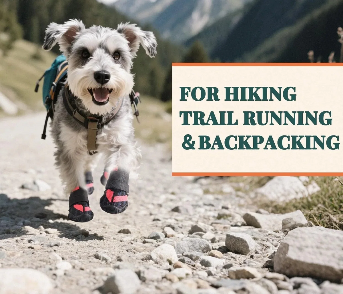 Summer Dog Boots for Hot Pavement Protection
