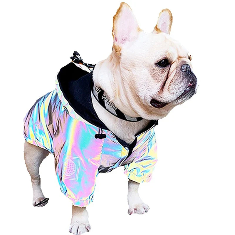 Waterproof Reflective Dog Jacket – Colourful Fashion Coat for All Sizes