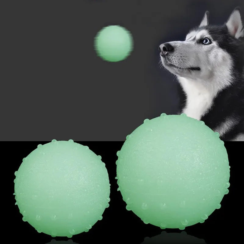 Reflective Bouncing Ball Dog Toy