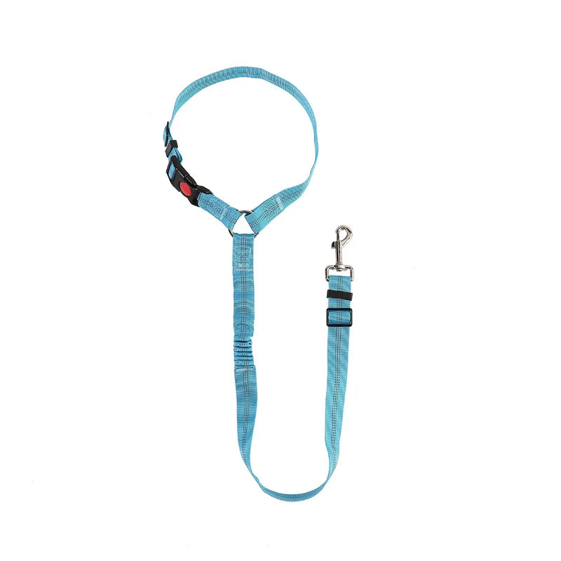 Reflective Dog Car Seat Belt and Walking Leash for Small Dogs