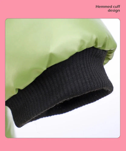 Waterproof Winter Down Hoodie Jacket for Small Dogs