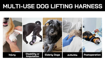 Rear Support Dog Lift Harness for Elderly, Injured & Arthritic Dogs