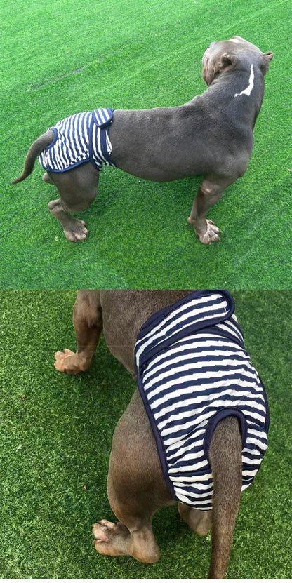 Washable Physiological Pants & Sanitary Briefs for Female Dogs & Cats