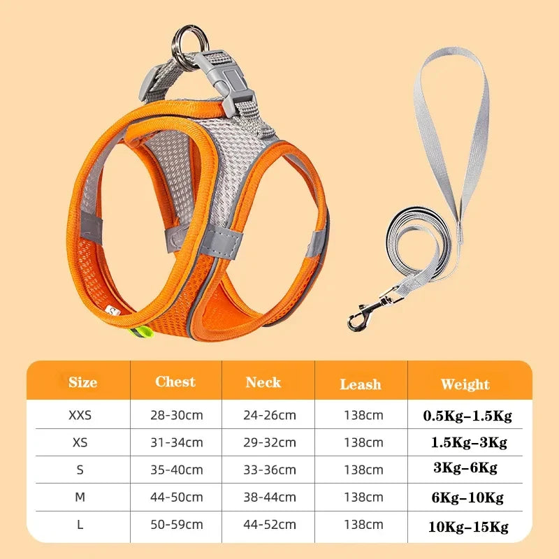 Small Dog Harness and Leash Set