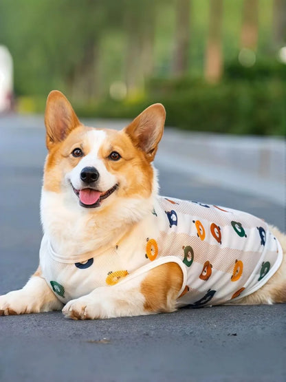 Breathable Mesh Cooling Vest for Dogs