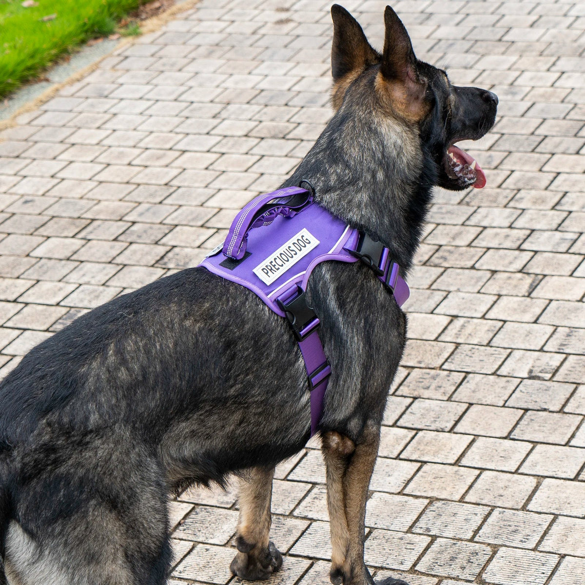 Reflective Emotional Support Dog Vest Harness with Handle & Lead — Easy On/Off for Large Dogs