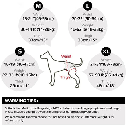 Rear Support Dog Lift Harness for Elderly, Injured & Arthritic Dogs