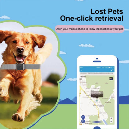 IP67 Bluetooth Pet Tracker with Collar for Dogs & Cats — Findmytag App