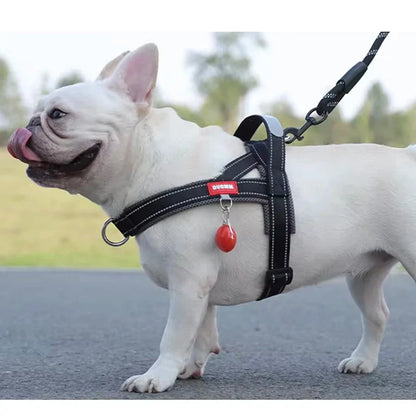 Saddle-Style Padded Dog Harness Vest