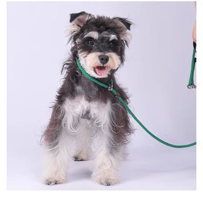 Anti-Tangle Adjustable P-Chain Slip Lead for Small Dogs