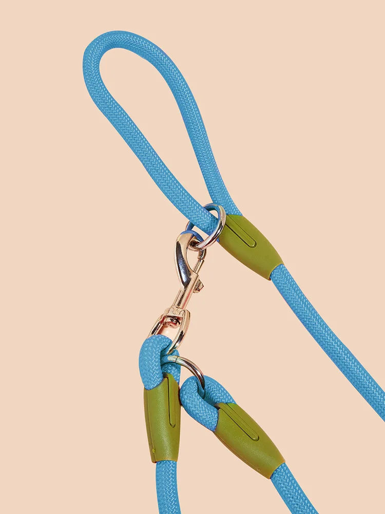 Reflective Nylon Dog Leash