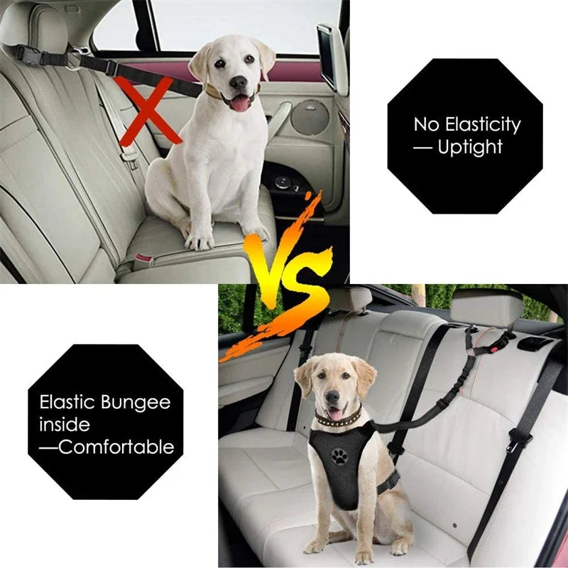 Reflective Dog Car Seat Belt and Walking Leash for Small Dogs