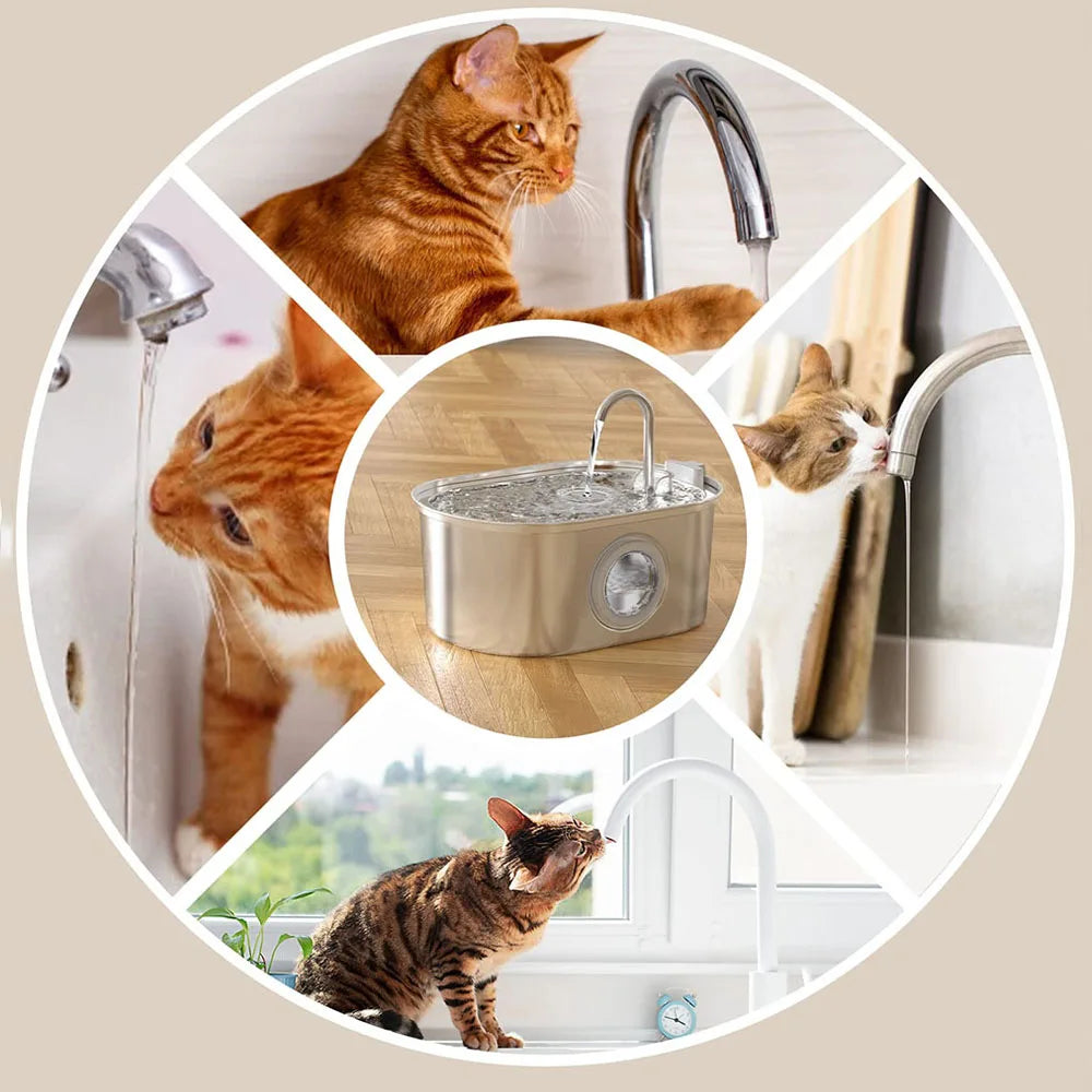 Smart Stainless Steel Cat Water Fountain - Automatic Pet Water Dispenser with Viewing Window