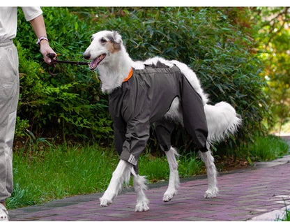 Waterproof Dog Raincoat Jumpsuit for Medium & Large Dogs