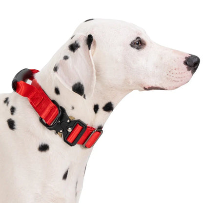Heavy Duty Tactical Dog Collar with Handle — Metal Buckle Training Collar for Medium & Large Dogs