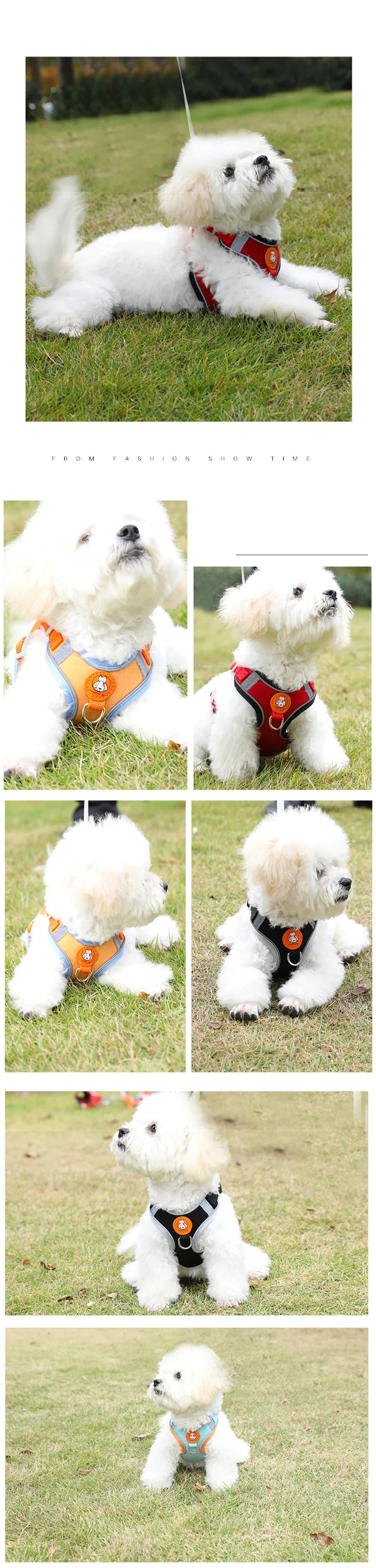 Breathable Reflective Dog Harness - Adjustable for Small Dogs & Puppies