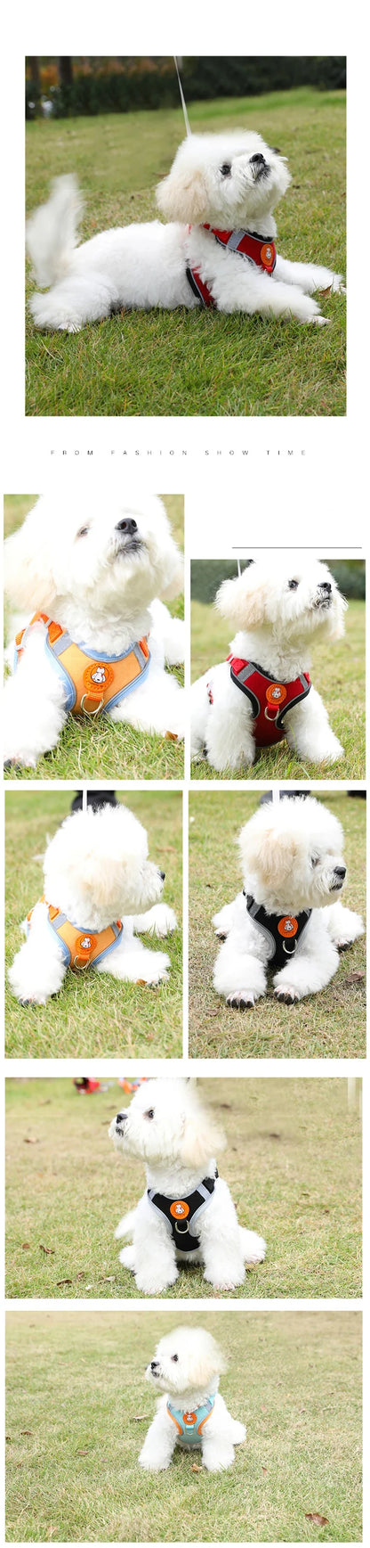 Breathable Reflective Dog Harness - Adjustable for Small Dogs & Puppies