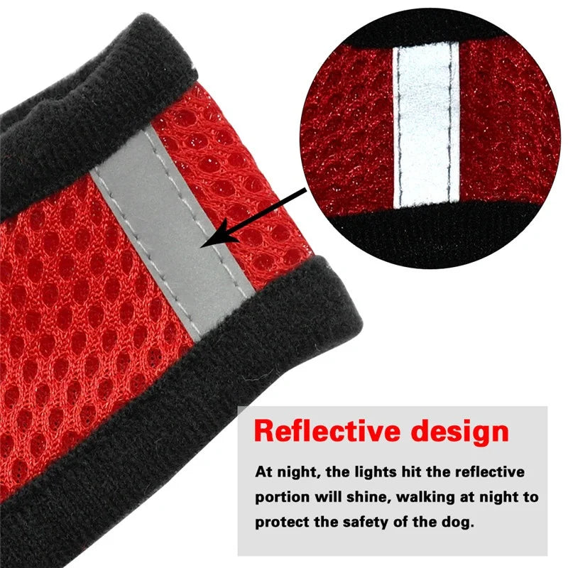 Adjustable Small Dog Harness and Leash Set - Breathable Vest
