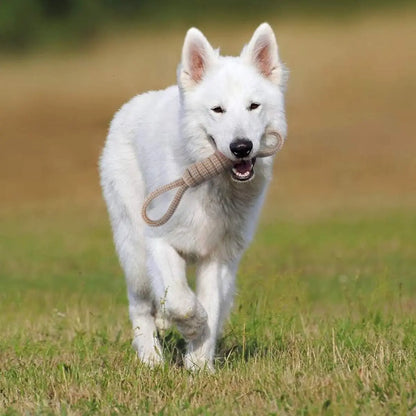 Cotton Rope Knot Chew Toy for Dogs & Cats