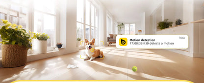 2K Indoor WiFi Pet Camera — 360° Pan & Tilt with Night Vision & 2-Way Audio