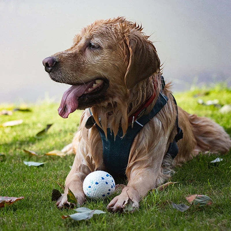Durable Chew Ball Toy for Dogs